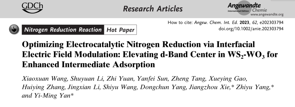 北化工严乙铭&杨志宇Angew.：WS2-WO3电催化氮还原合成绿色氨