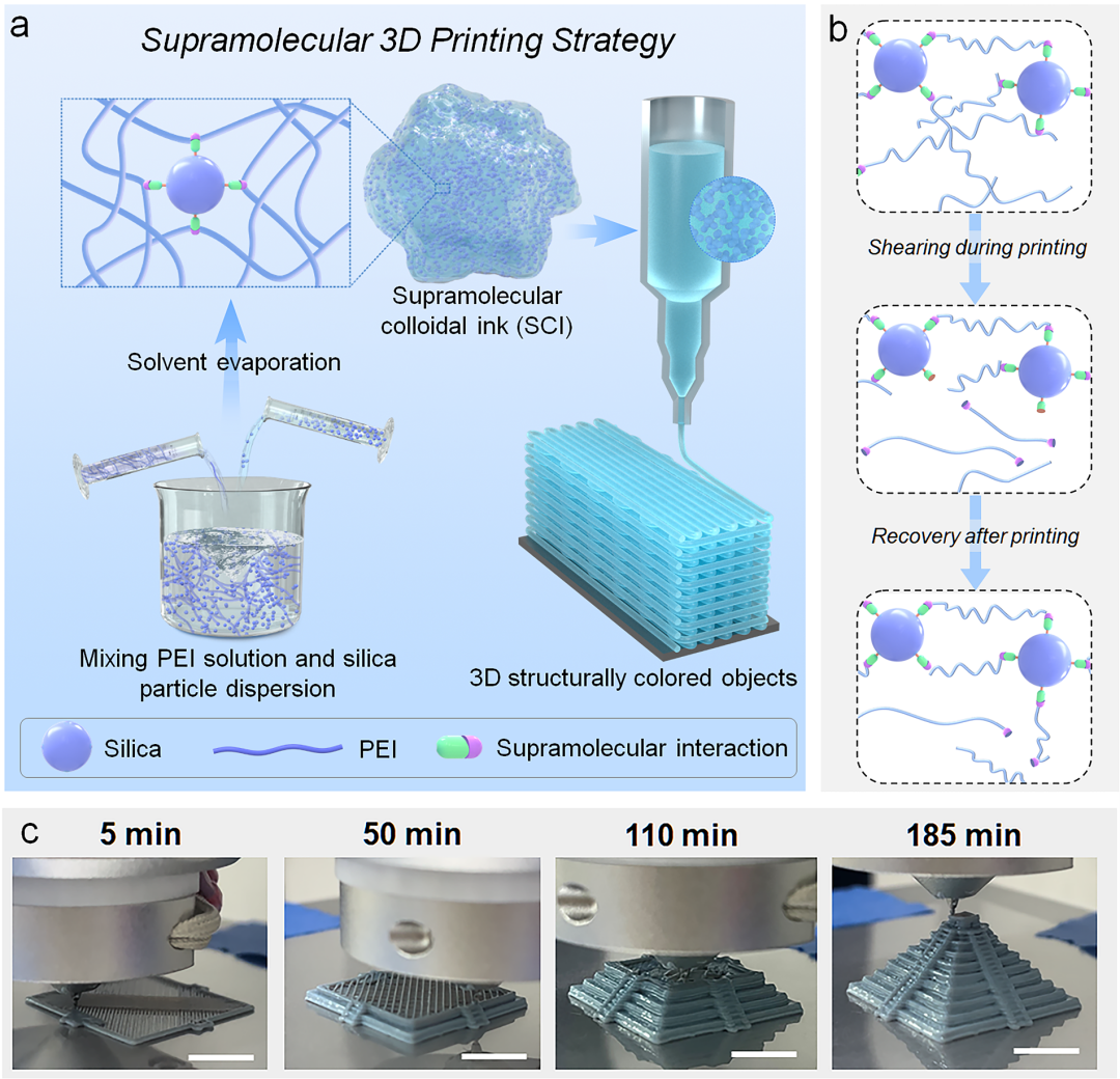 华科大朱锦涛、张连斌教授团队：超分子3D打印策略实现可修复、可回收的3D结构色物体的一步构筑