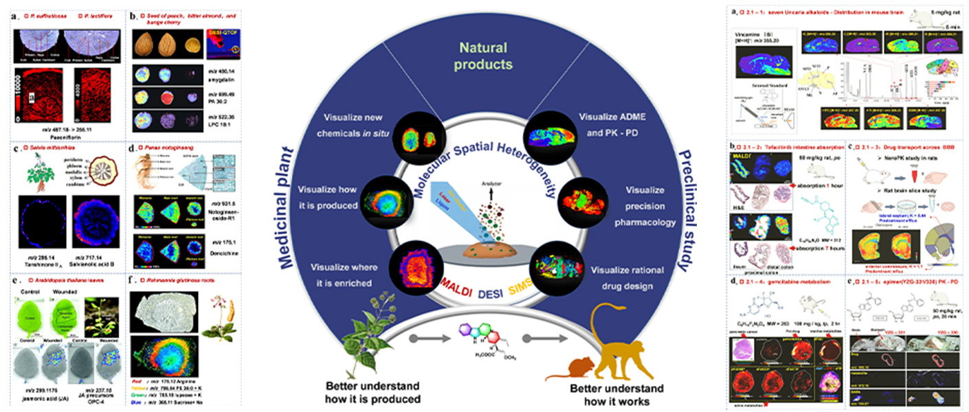 质谱成像（MSI）：天然产物药物研发新视角