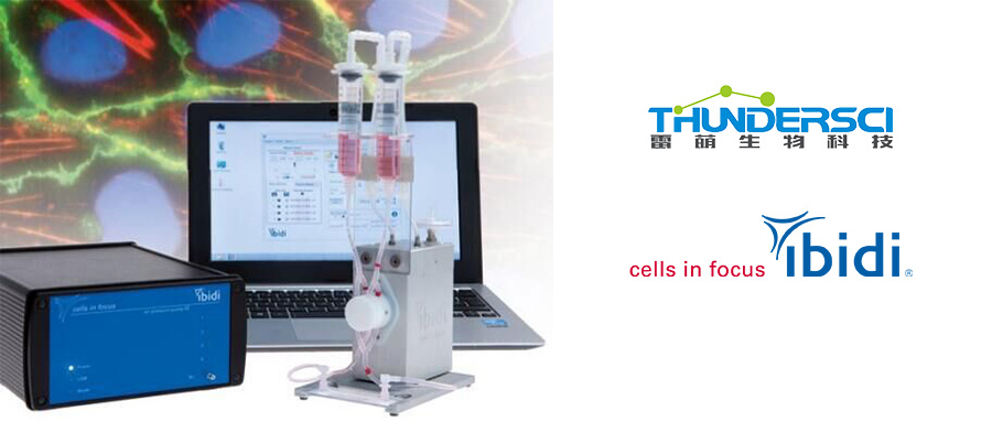 流体环境下的细胞培养|哪一款泵系统实验效果佳？