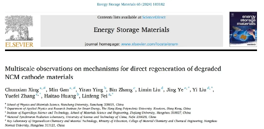 TEM原位样品杆优秀论文赏析-《Energy Storage Materials》