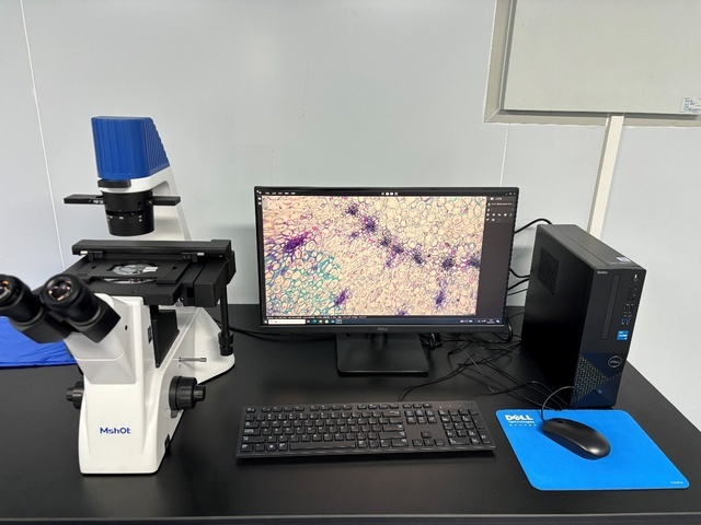 Mshot明美显微镜应用于湖南大学交叉学院组织切片研究