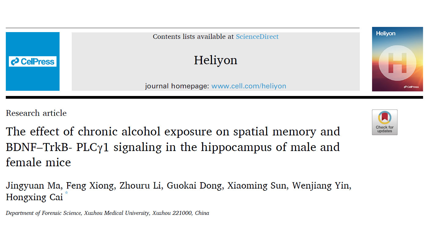 OCUS切片扫描仪助力慢性酒精暴露对小鼠空间记忆及海马区信号通路影响的研究