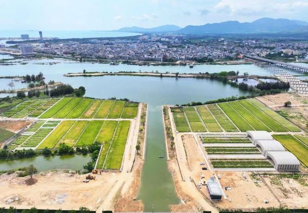 为盐碱地安上“技术芯片”，托普云农打造耐盐碱水稻科研试验基地建设解决方案