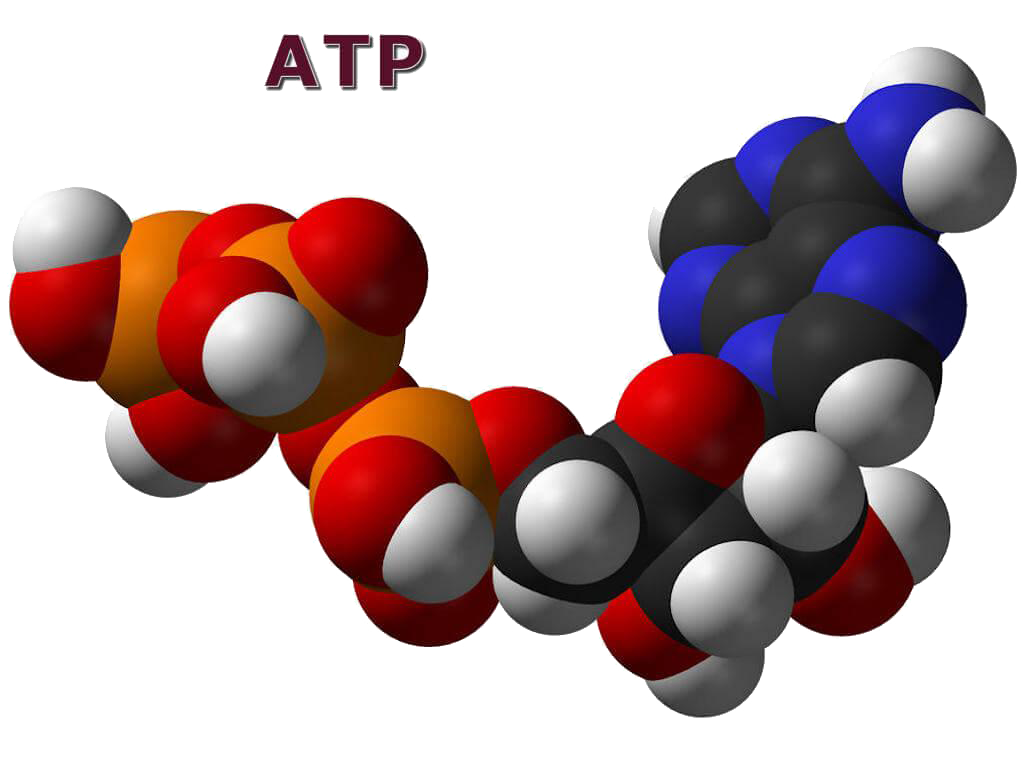 应用 | ATP与水中微生物测试解决方案