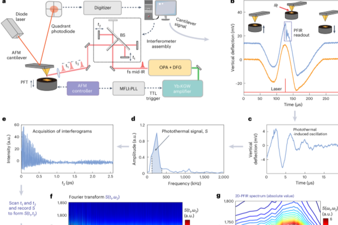 新设备！Nature Nanotechnology揭示纳米光谱学仪器新开发及多功能应用！