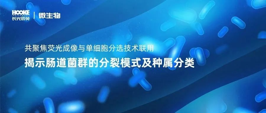 共聚焦荧光成像与单细胞分选技术联用，揭示肠道菌群的分裂模式及种属分类