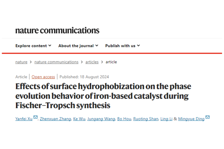 仪器表征，科学家揭示铁基催化剂稳定性与性能的提升新方法！
