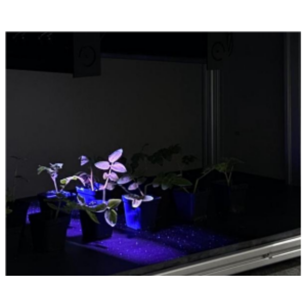 FluorTron 植物叶绿素荧光光谱成像分析系统