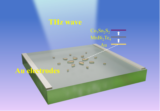 聊城大学宋琦副教授和深圳大学张敏副教授《IEEE SJ》：面向6G技术的水滴型分频率太赫兹传感器