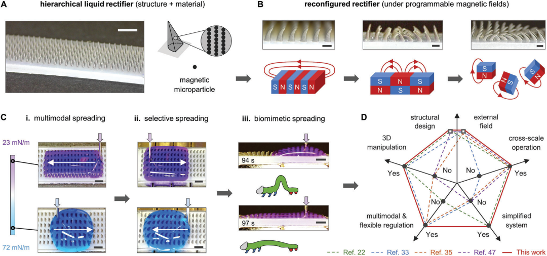 香港大学《Advanced Science》: 可重构多级整流器用于三维液体操控