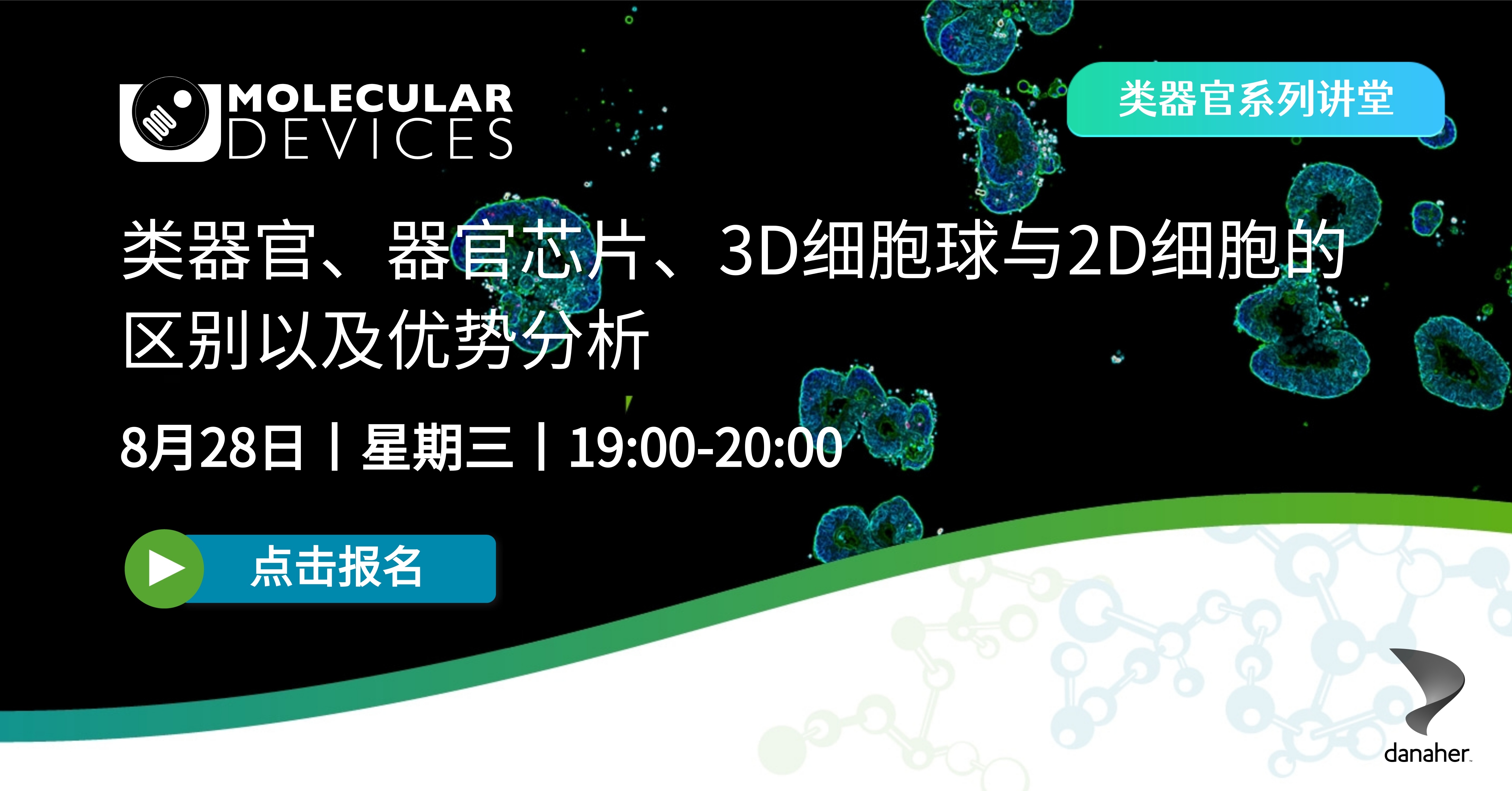 【webinar预告】类器官、器官芯片、3D细胞球、2D细胞的区别和优势介绍