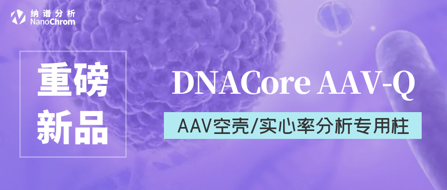 DNACore AAV-Q色谱柱上市！AAV空壳/实心率分析利器！