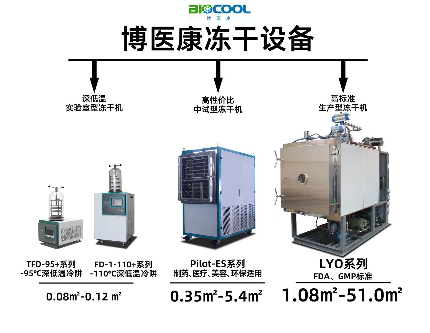 冻干药物的工艺流程