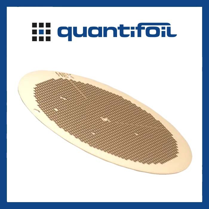 Quantifoil 冷冻电镜载网