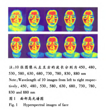 高光谱成像技术对人体面部和手掌的成像及光谱分析