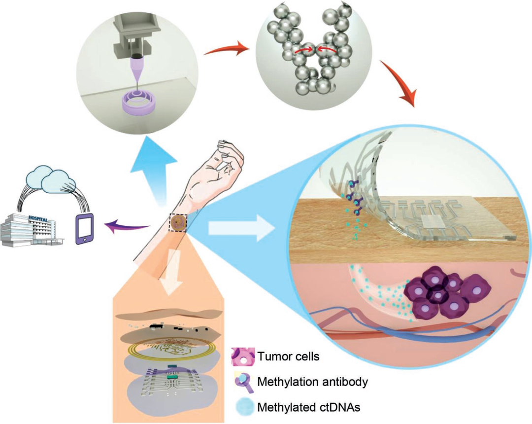 摩方微纳3D打印技术助力科研创新，已在Science、Nature、AM取得多项突破性研究成果！