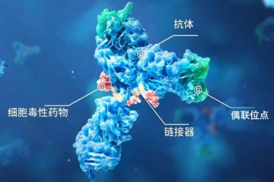 未来已来：ADC药物精准制导癌症治疗