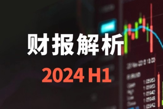 莱伯泰科2024年H1财报：这块业务增长118%！