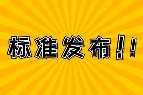 国际先进！氢能领域国标《PEM 电解槽性能测试方法》征求意见稿发布