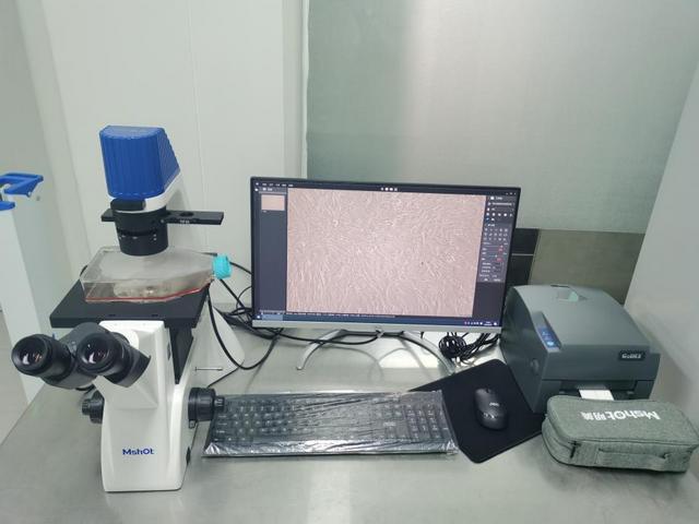 倒置显微镜应用于细胞观察