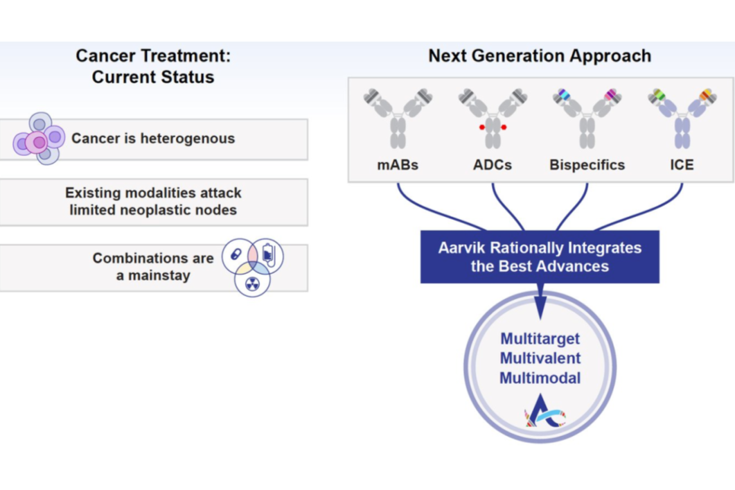 1亿美元押注 ADC，Aarvik 与 ArriVent 合作开发下一代抗癌疗法