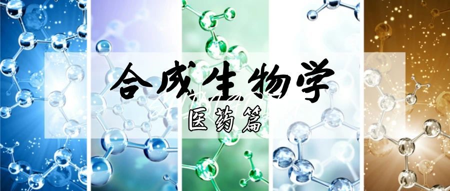 GCMS+多组学软件包高效开展合成生物学代谢途径分析