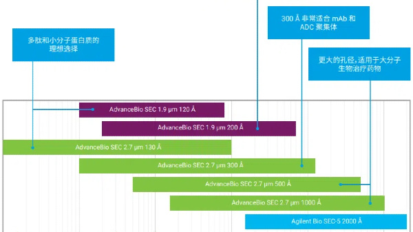 新品应用 | Agilent AdvanceBio SEC色谱柱助力超大分子药物快速分析