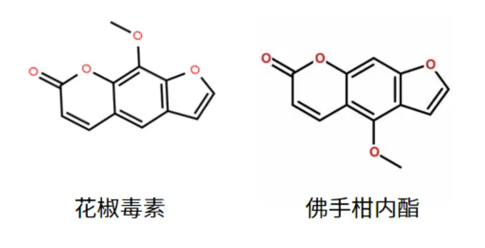 应用分享 | DESI结合离子淌度可视化天然产物同分异构体空间分布