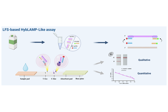 新型核酸试纸条能精准定量检测乳品成分掺假