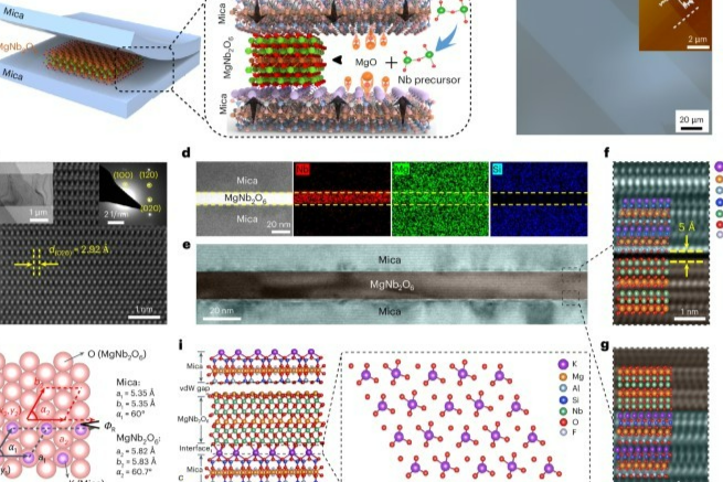 科学家研发MgNb2O6增强二维材料FET稳定性！