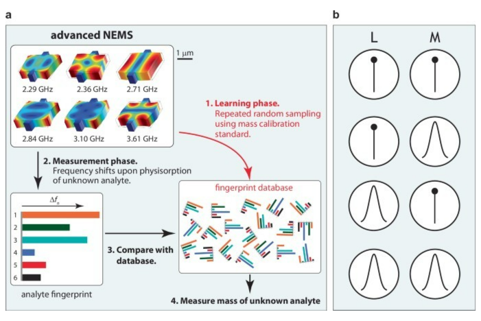 突破NEMS质谱：指纹法赋能复杂设备测量!