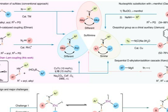 新型铜催化剂实现高效手性硫分子合成！