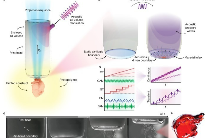 声波打印：快速制造生物材料新技术！