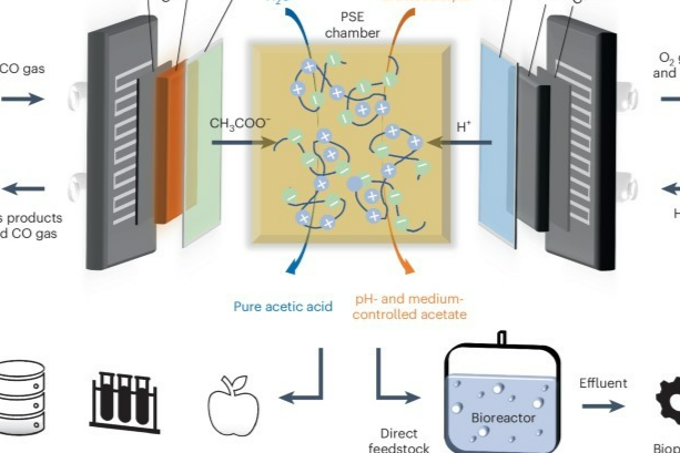 新型电解槽助力CO₂直接转化为高价值生物塑料!
