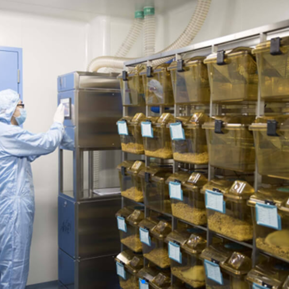 动物实验室IVC笼具的清洗与消毒