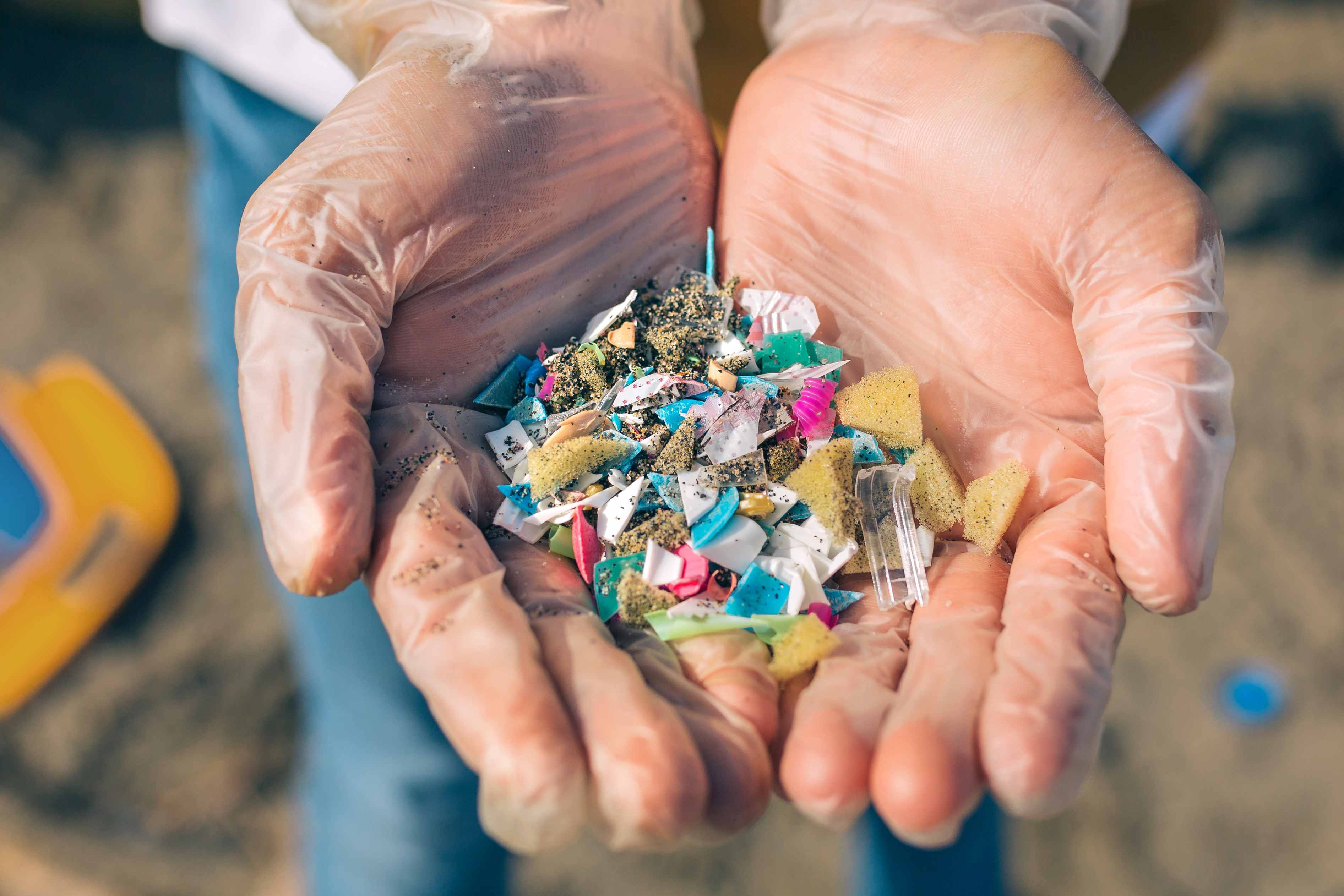 微塑料可让有害物质变得更毒