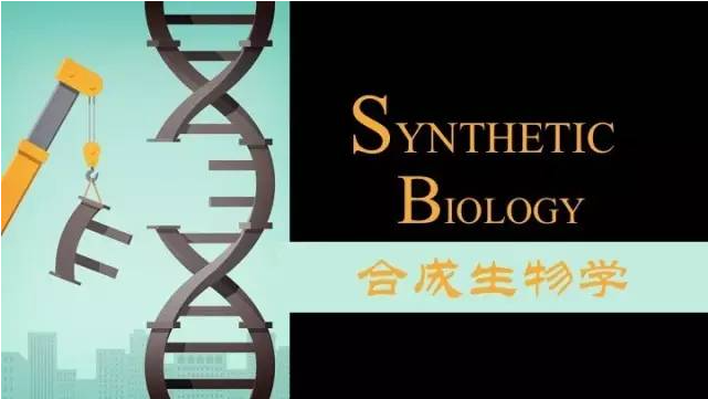 引领定量合成生物学发展，寻求“第五次工业革命”理论突破——刘陈立研究员