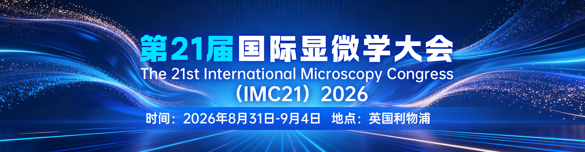 IMC21banner
