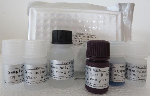 人蛋白C(PC)ELISA试剂盒