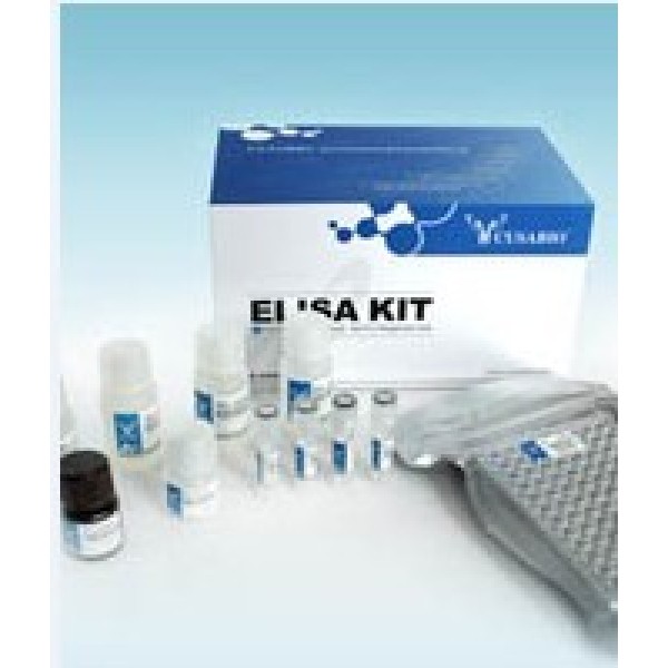 人免疫球蛋白G Fc段受体Ⅰ(FcγRⅠ/CD64)ELISA试剂盒(xy-E100011) 