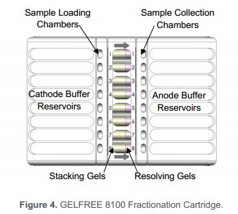 Gelfree 8100 微量蛋白质制备系统(多通道凝胶洗脱液相组分截留电泳)