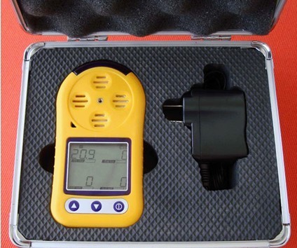 便携式可燃气体检测仪/可燃气体检测仪