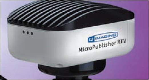 QImaging MicroPublisher 科研CCD