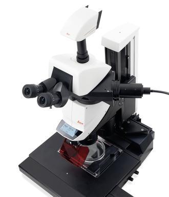 徕卡立体显微镜系统 Leica Motorfocus