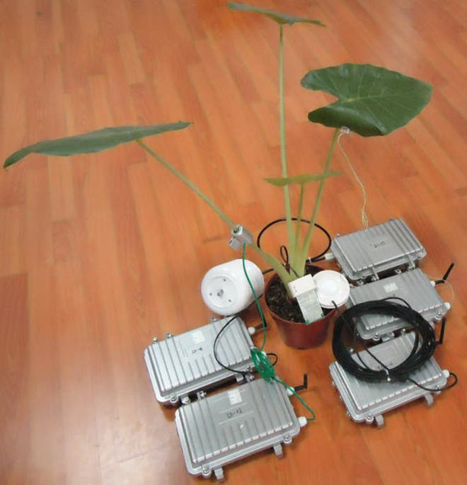 植物生理生态信息监测系统