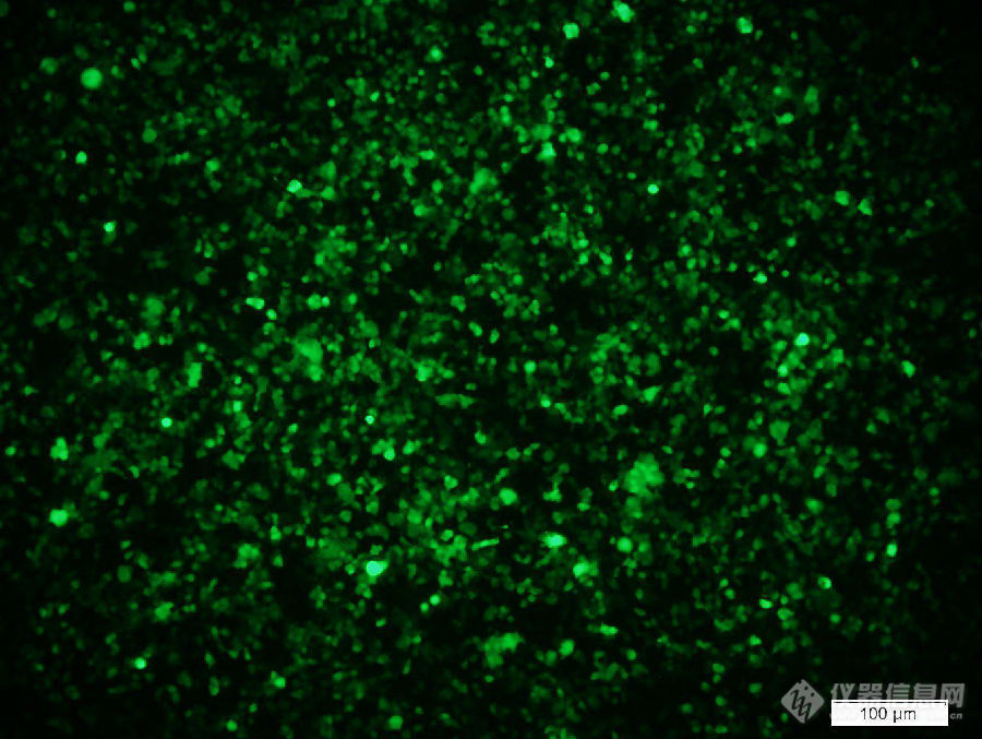 北京倍辉科技携手中国科学院、清华大学举办CUY21 EDIT II超级多模式细胞/活体基因电转化仪试用活动