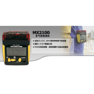 MX2100 复合式气体检测仪