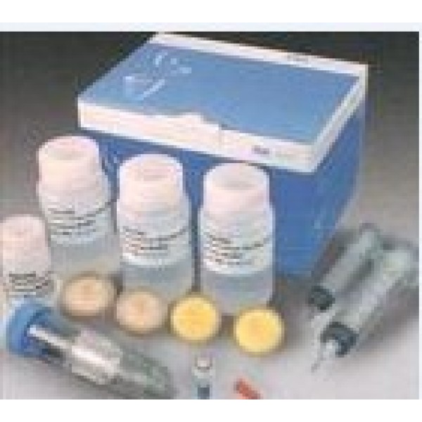 低载量PCR片段纯化试剂盒 