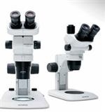 OLYMPUS小型体式显微镜